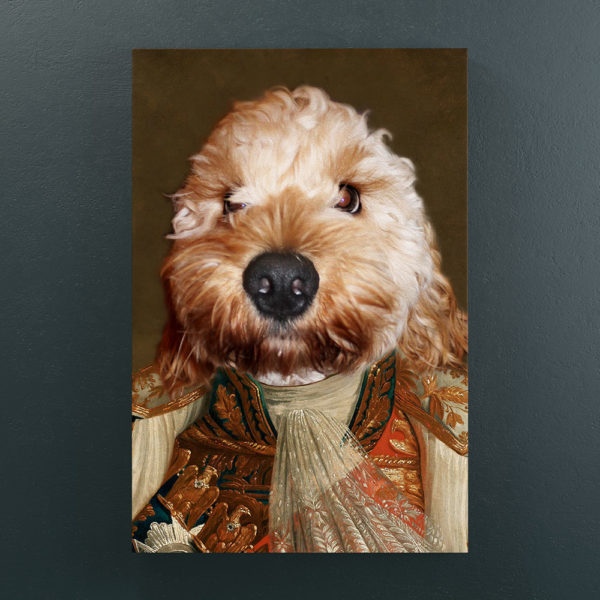 admiral-mock admiral-mock