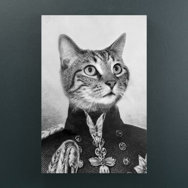 Fusilier custom pet portrait canvas cat Fusilier custom pet portrait canvas cat