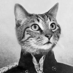 The Fusilier